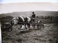 Dorf und Leute_2